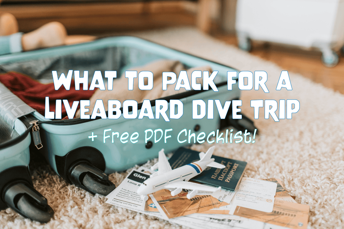 What to Pack for a Liveaboard Dive Trip + Free PDF Checklist! - Salinity Swimwear