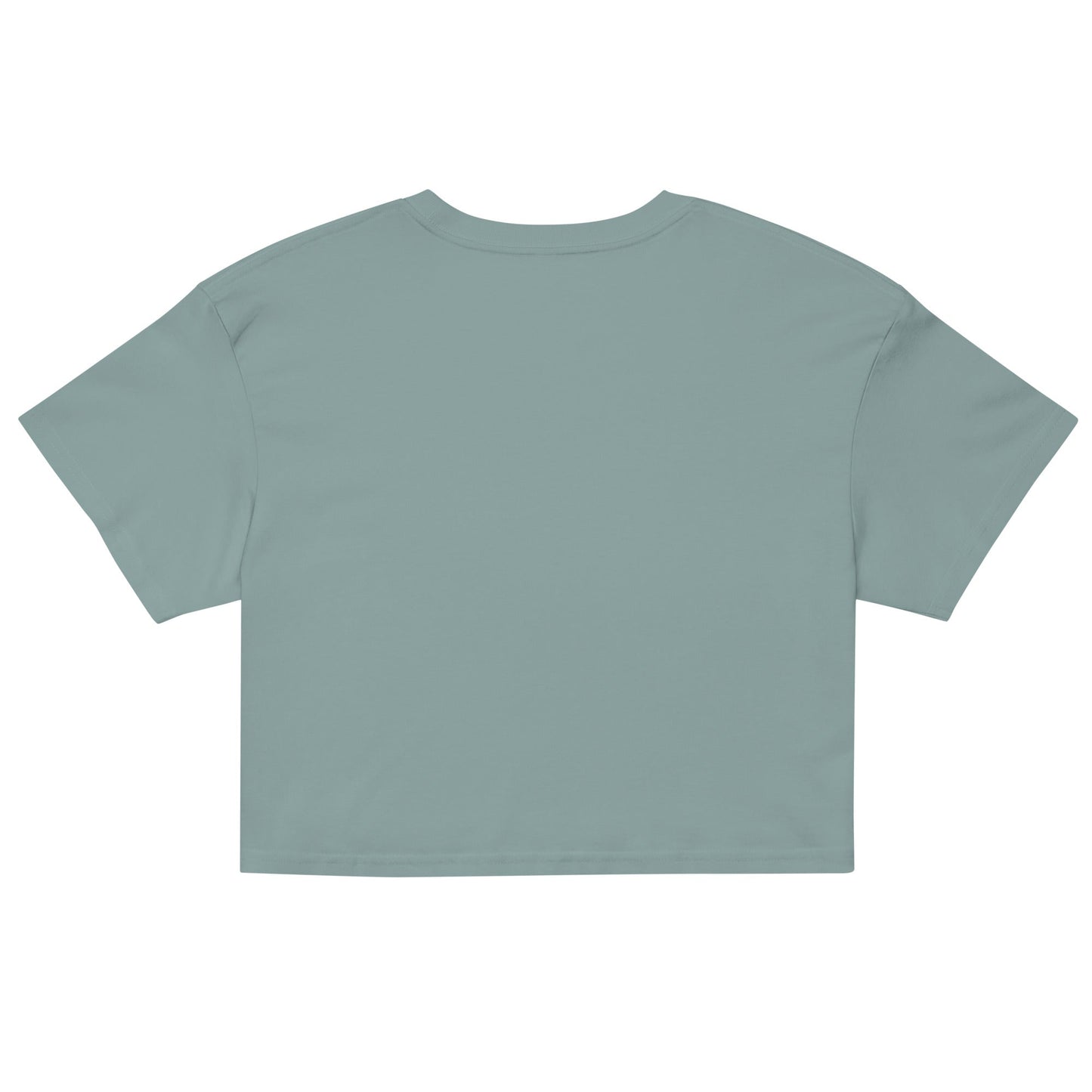 Salinity Swimwear Stay Salty Women’s Crop Top T-Shirt
