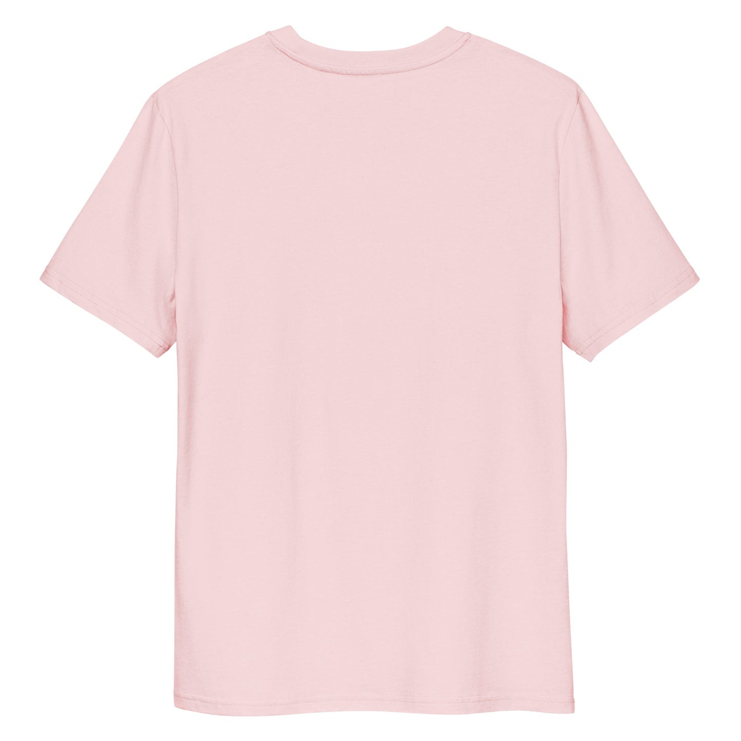 Salinity Swimwear Test My Waters Women’s Organic Cotton T-Shirt T-Shirt