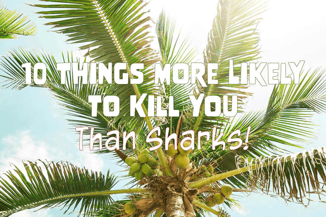 10 Things More Likely to Kill You than Sharks! - Salinity Swimwear