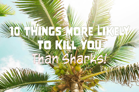 10 Things More Likely to Kill You than Sharks!