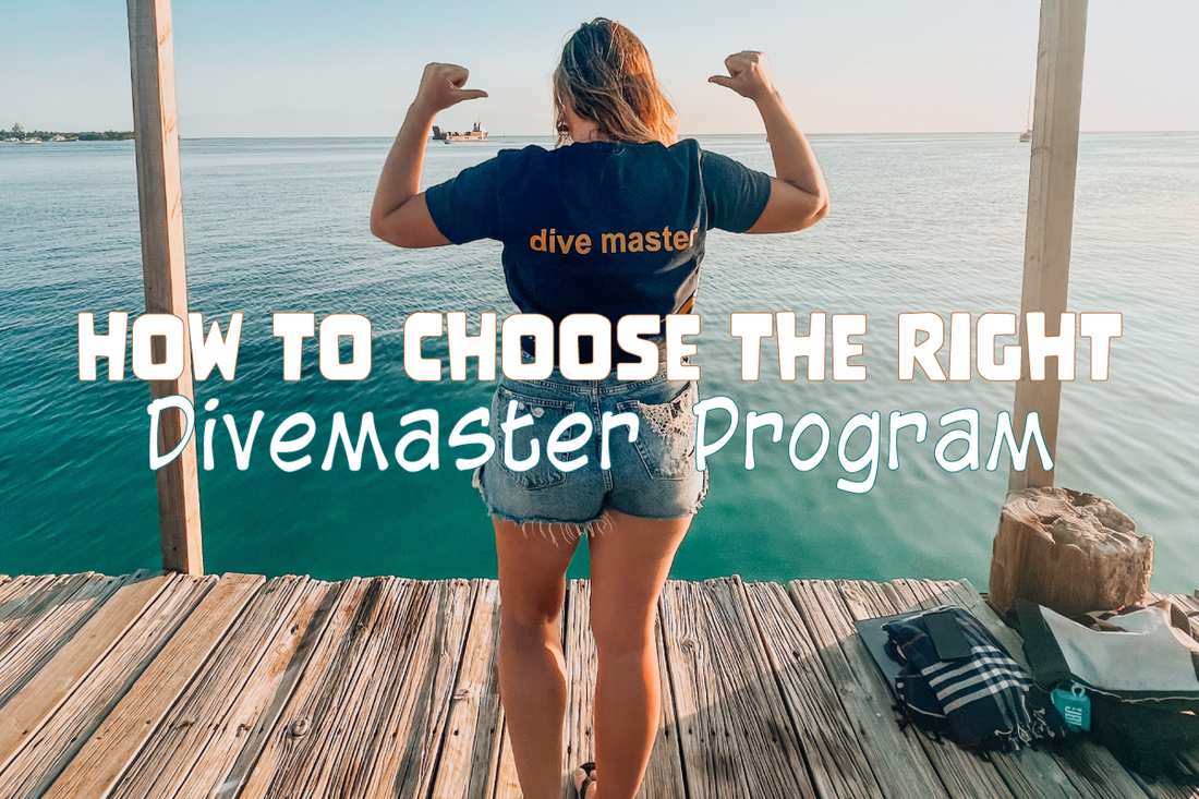 How to Choose the Right Divemaster Program - Salinity Swimwear