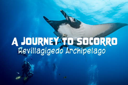 A Journey to Socorro: Revillagigedo Archipelago