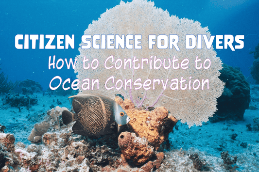 Citizen Science for Divers: How to Contribute to Ocean Conservation - Salinity Swimwear