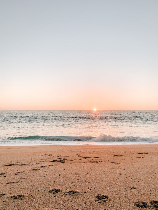 Finding Joy in times of Covid - Salinity Swimwear