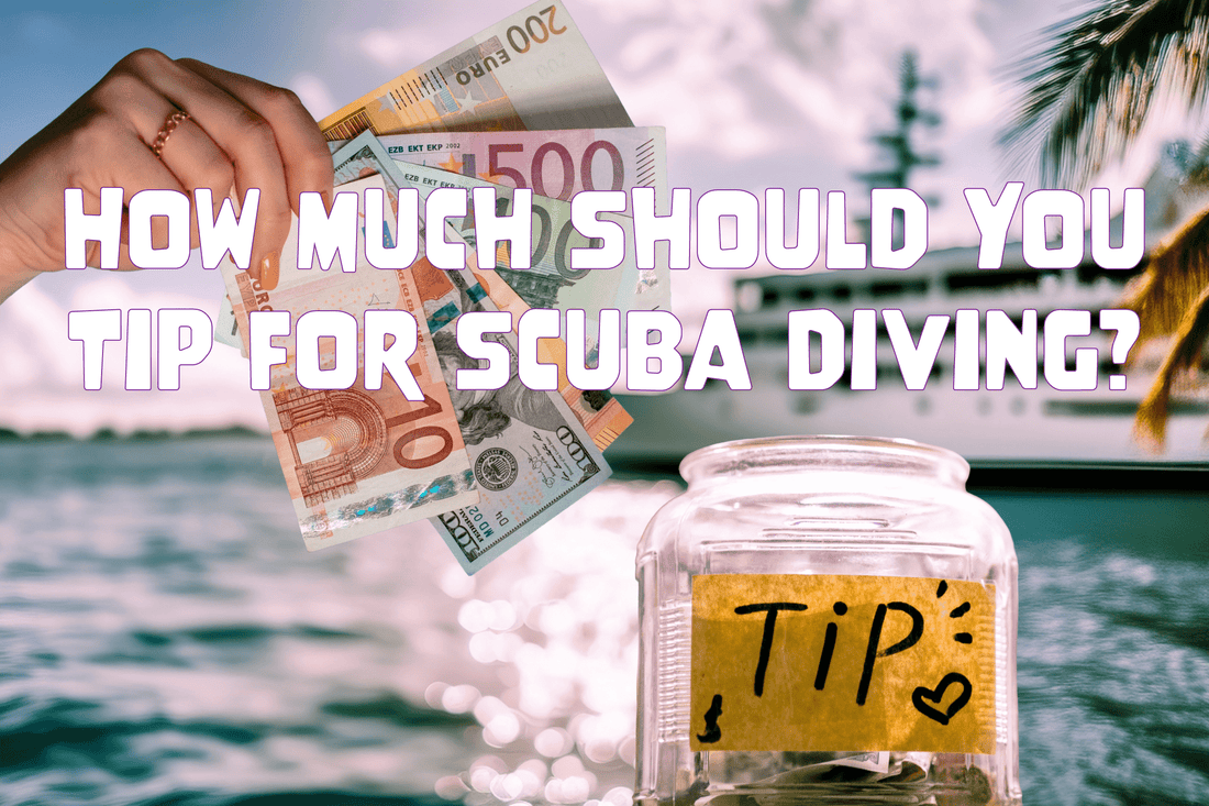 How Much Should You Tip for Scuba Diving? - Salinity Swimwear