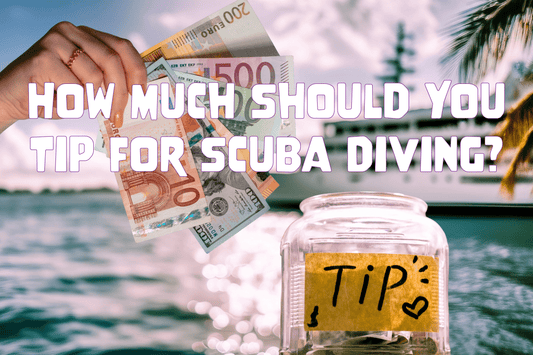 How Much Should You Tip for Scuba Diving? - Salinity Swimwear