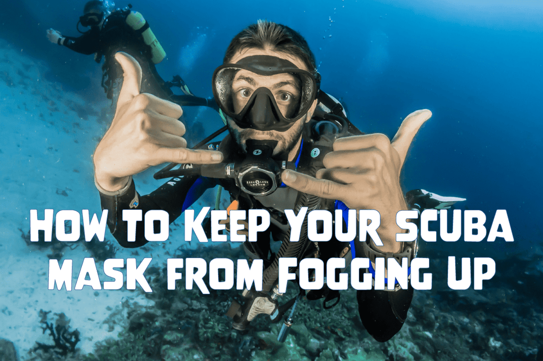How to Keep Your Scuba Mask from Fogging Up - Salinity Swimwear