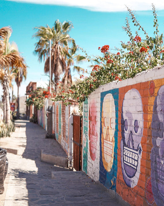What brought you to Todos Santos? - Salinity Swimwear