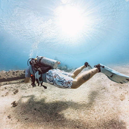 Salinity Swimwear Seahorse Haven Men's Swim Trunks Swim Trunks