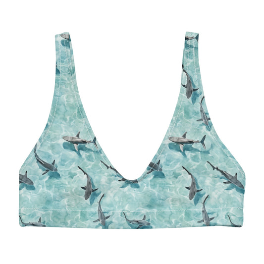 Shark Watch Eco Bikini Top - Salinity Swimwear