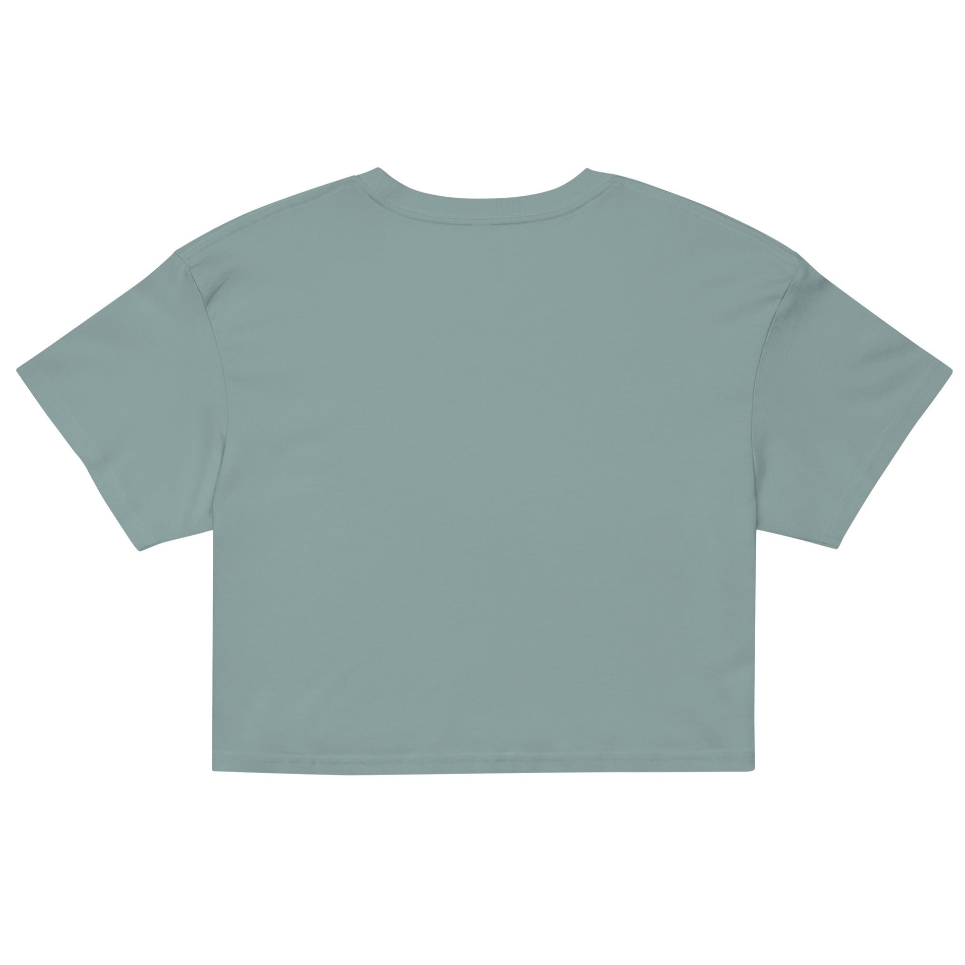 Salinity Swimwear Stay Salty Women’s Crop Top T-Shirt