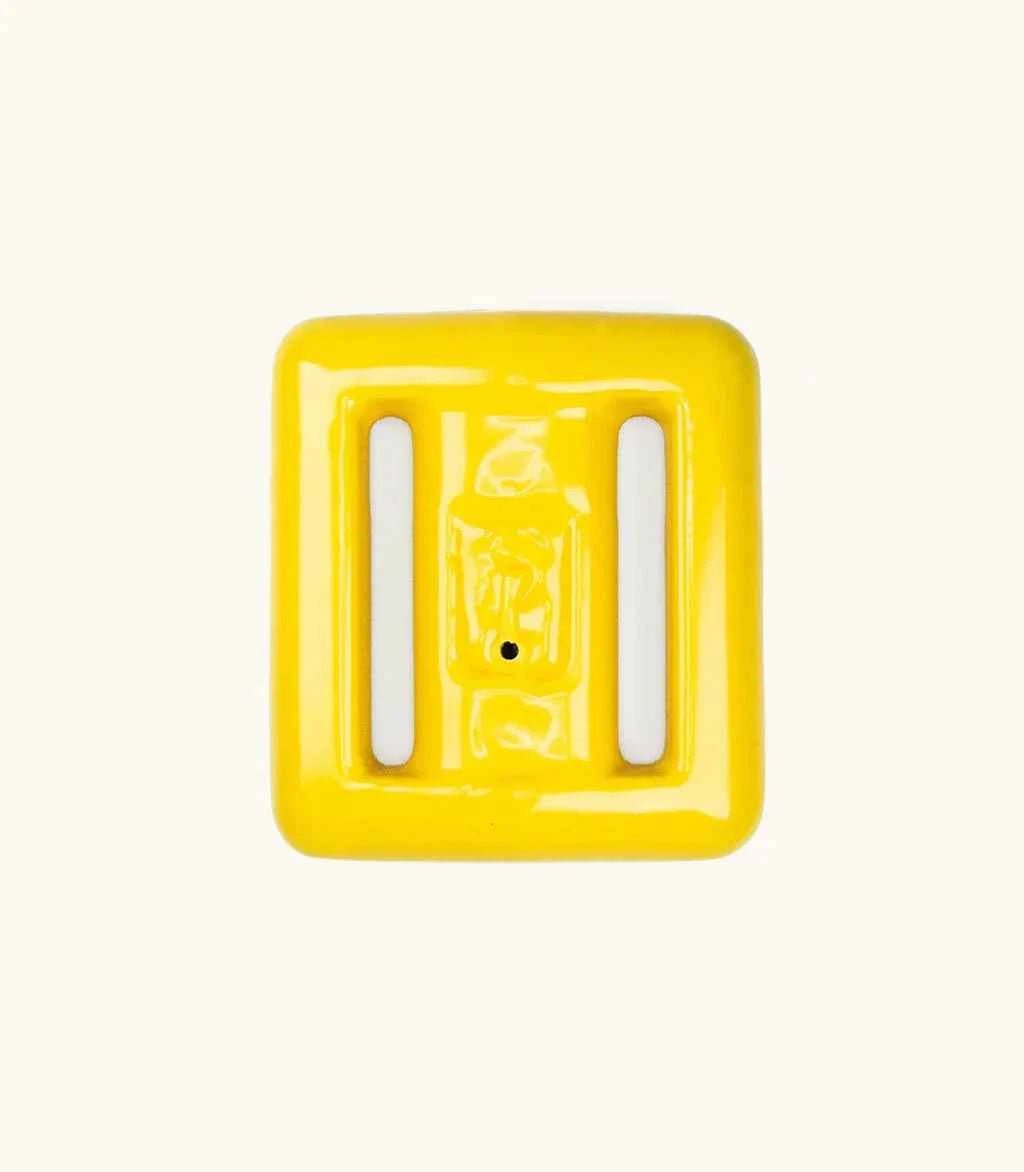 Salinity Swimwear Yellow Tang Dive Weights