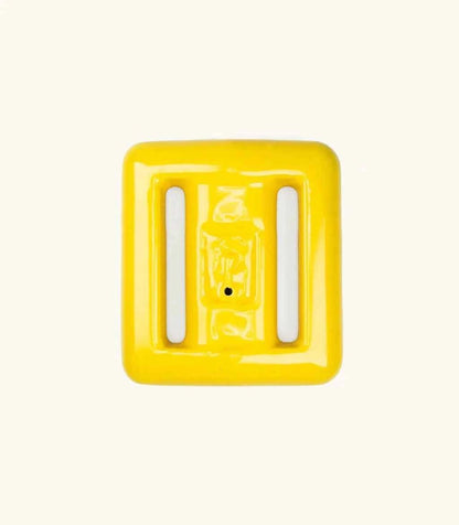 Salinity Swimwear Yellow Tang Dive Weights