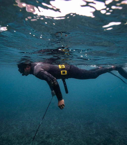 Salinity Swimwear Yellow Tang Dive Weights